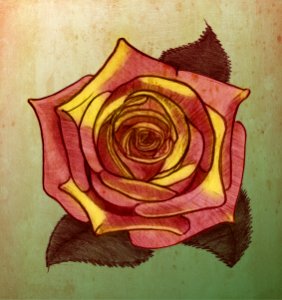 Rose. Sketch on the old paper.. Free illustration for personal and commercial use.