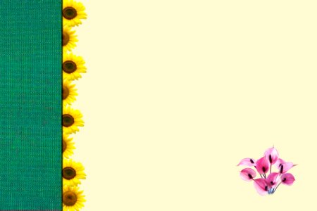 Border with sunflowers with space for text or photo. Free illustration for personal and commercial use.
