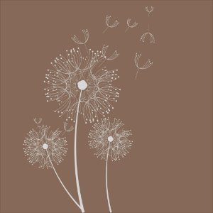 Dandelion Flowers Card. Free illustration for personal and commercial use.
