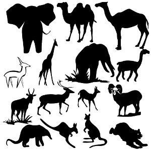 Animals Group. Free illustration for personal and commercial use.