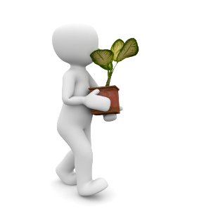 3d man holding small tree in hands concept in white. Free illustration for personal and commercial use.