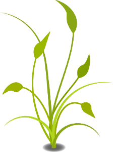 Illustration Of A Green Plant. Free illustration for personal and commercial use.
