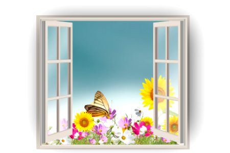 Open window with flower and butterfly. Free illustration for personal and commercial use.