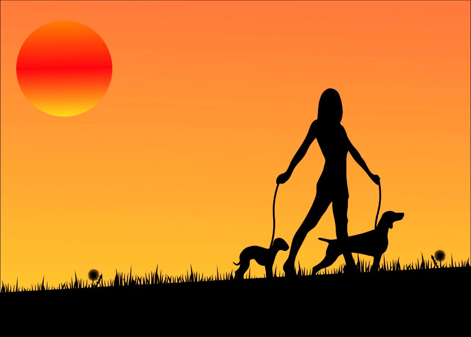 Woman Dog Walking. Free illustration for personal and commercial use.