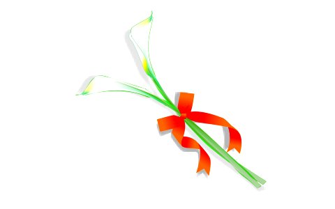 Calla lily tie ribbon. Free illustration for personal and commercial use.