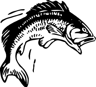 Illustration Of A Jumping Fish. Free illustration for personal and commercial use.