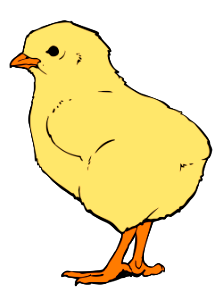 Happy chick cartoon. Free illustration for personal and commercial use.