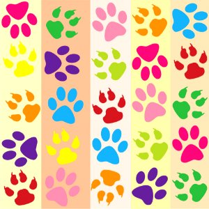 Paw Prints Colorful Wallpaper. Free illustration for personal and commercial use.
