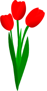 Illustration Of Red Tulips. Free illustration for personal and commercial use.