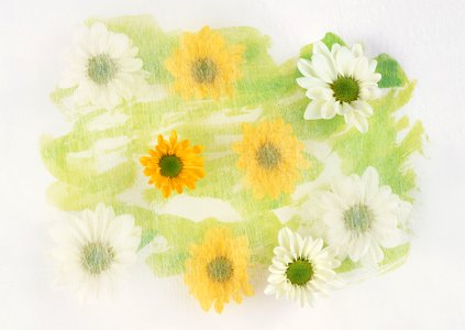 yellow and green gerbera flowers in vintage style. Free illustration for personal and commercial use.