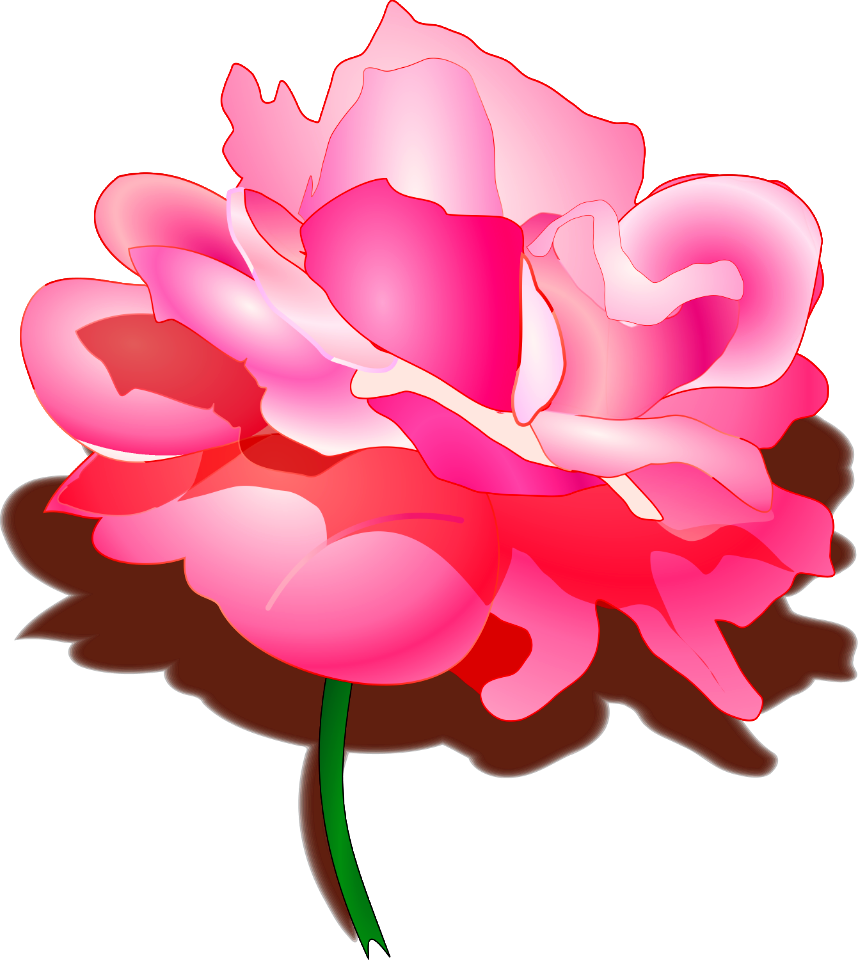 Illustration Of A Pink Rose. Free illustration for personal and commercial use.