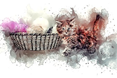 Cat, Small To Medium Sized Cats, Cat Like Mammal, Kitten. Free illustration for personal and commercial use.