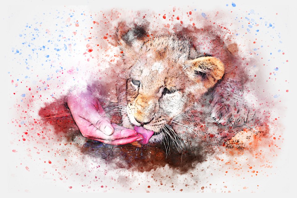 Mammal, Watercolor Paint, Cat Like Mammal, Lion. Free illustration for personal and commercial use.
