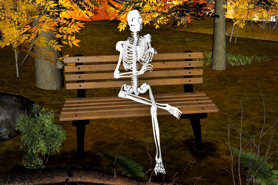 Skeleton Sitting on Bench. Free illustration for personal and commercial use.