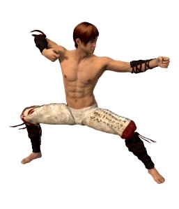 Martial Arts Fighter 3d model. Free illustration for personal and commercial use.