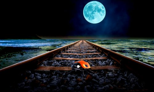 Moon over the train tracks with ladybug. Free illustration for personal and commercial use.