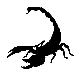 Scorpion Silhouette. Free illustration for personal and commercial use.
