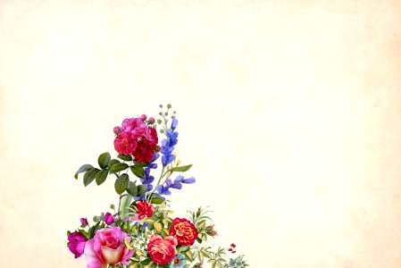 Vintage Color Flower Background. Free illustration for personal and commercial use.