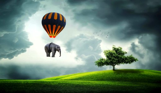 Elephant in Balloon. Free illustration for personal and commercial use.