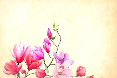 Floral Background Illustration. Free illustration for personal and commercial use.