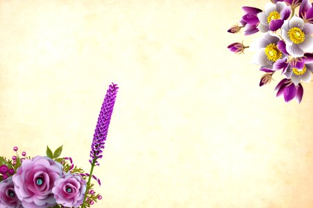 Flowers on Vintage Paper Background. Free illustration for personal and commercial use.
