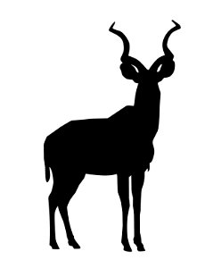 Kudu Silhouette. Free illustration for personal and commercial use.