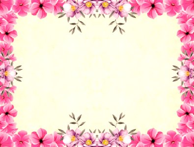 Pink Floral Background. Free illustration for personal and commercial use.