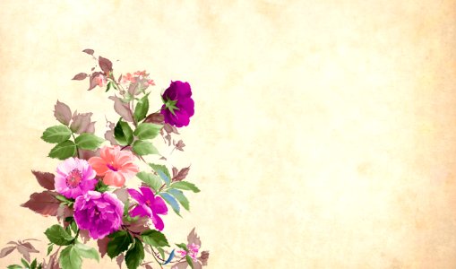 Vintage Flower Paper Background. Free illustration for personal and commercial use.