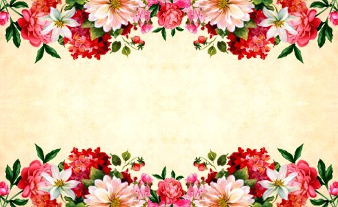 Vintage Paper with Flower Ornaments. Free illustration for personal and commercial use.