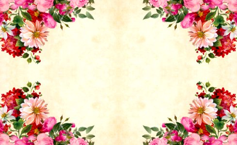 Pink Flower Background. Free illustration for personal and commercial use.