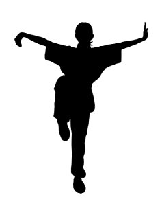 Kung-Fu Silhouette. Free illustration for personal and commercial use.
