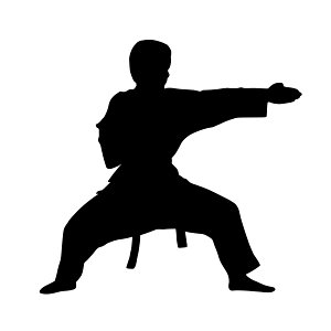 Karate Fighter Silhouette. Free illustration for personal and commercial use.