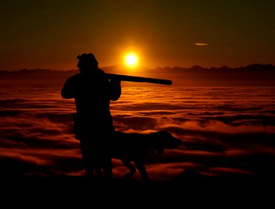 Hunting and Dog Silhouette. Free illustration for personal and commercial use.