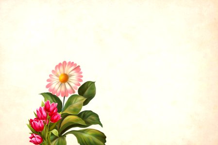 Vintage Paper with Flower Background. Free illustration for personal and commercial use.