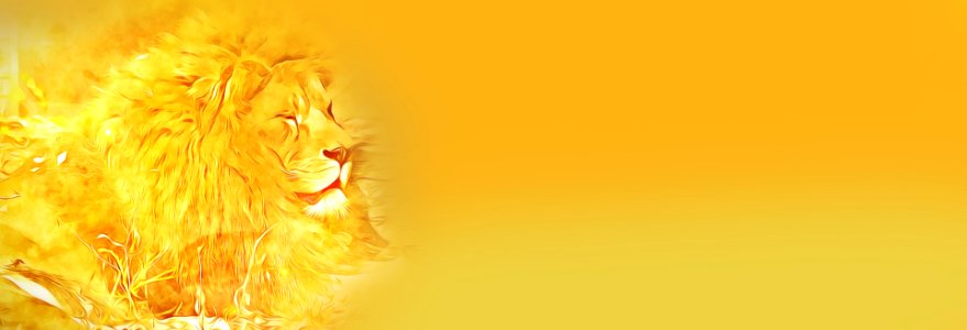 Lion yellow yellowish. Free illustration for personal and commercial use.