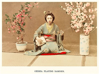 Geisha Playing Samisen, hand–colored albumen silver print from Japan. Described and Illustrated by the Japanese (1897) by Kazumasa Ogawa.. Free illustration for personal and commercial use.