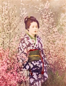 Beautiful photomechanical prints of a Geisha and Cherry Blossom (1887–1897) by Ogawa Kazumasa.. Free illustration for personal and commercial use.