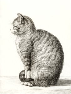 Sitting cat (1815) by Jean Bernard (1775-1883).. Free illustration for personal and commercial use.