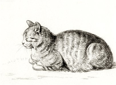 Lying cat (1811) by Jean Bernard (1775-1883).. Free illustration for personal and commercial use.