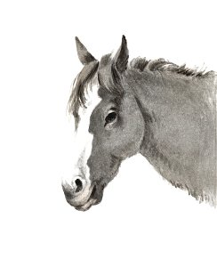 Head of a horse by Jean Bernard (1775-1883).. Free illustration for personal and commercial use.