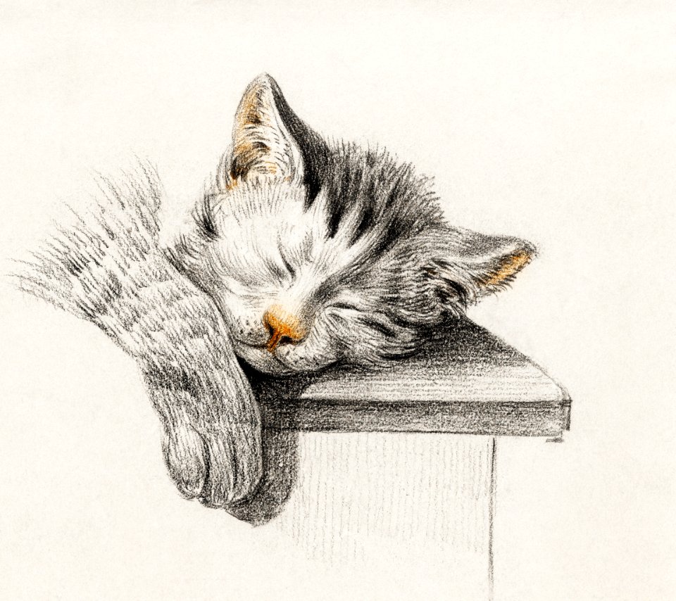 Sketch of a sleeping cat by Jean Bernard (1775-1883).