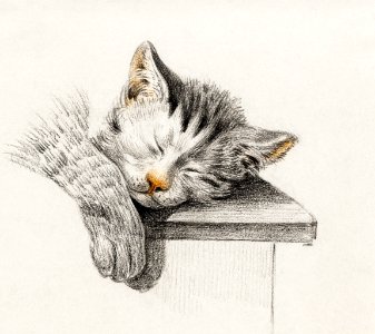 Sketch of a sleeping cat by Jean Bernard (1775-1883).. Free illustration for personal and commercial use.