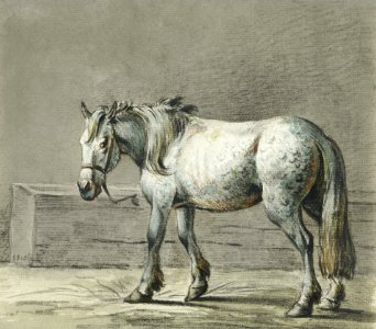Standing horse (1810 - 1816) by Jean Bernard (1775-1883).. Free illustration for personal and commercial use.