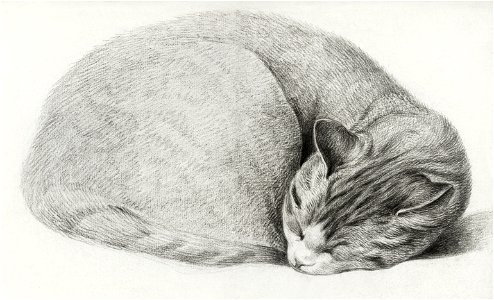 Rolled up lying, sleeping cat by Jean Bernard (1775-1883).. Free illustration for personal and commercial use.