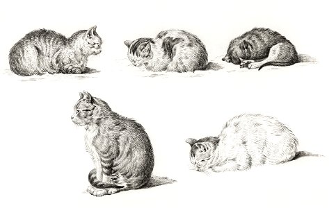 Five studies of Cats (1812) by Jean Bernard (1775-1883).. Free illustration for personal and commercial use.