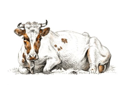 Lying cow by Jean Bernard (1775-1883).. Free illustration for personal and commercial use.