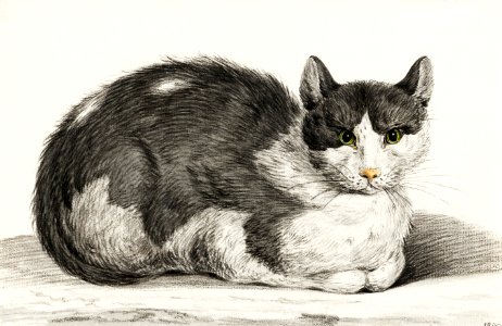 Reclining cat (1800) by Jean Bernard (1775-1883).. Free illustration for personal and commercial use.