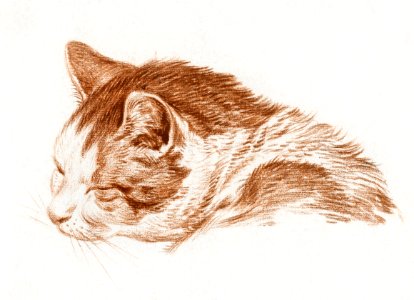Head of a sleeping cat (1818) by Jean Bernard (1775-1883).. Free illustration for personal and commercial use.
