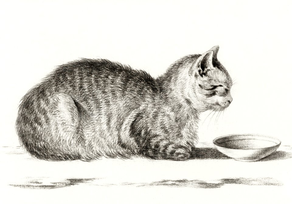 Lying cat for a dish (1812) by Jean Bernard (1775-1883).