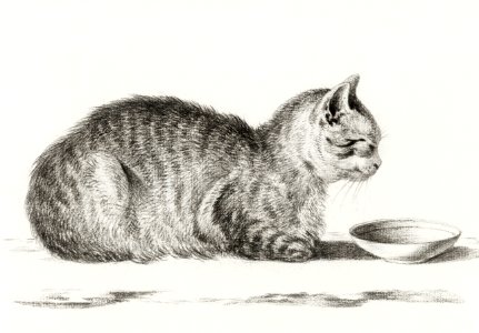 Lying cat for a dish (1812) by Jean Bernard (1775-1883).. Free illustration for personal and commercial use.